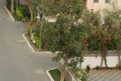 Thasami Neighbourhood