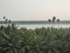 Nature around us