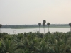 Nature around us