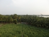 Nature around us