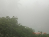 Misty Mornings